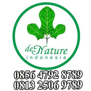 Illustration for article titled cara mengobati wasir dengan daun handeuleum
